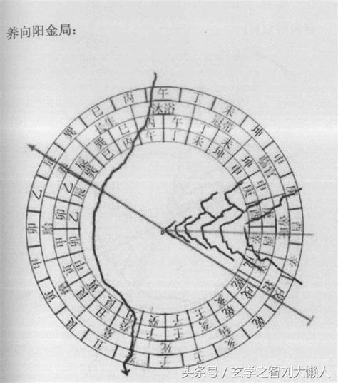 火帶木局|【火帶木局】揭秘「火帶木局」五行面相！你屬於哪種體型？